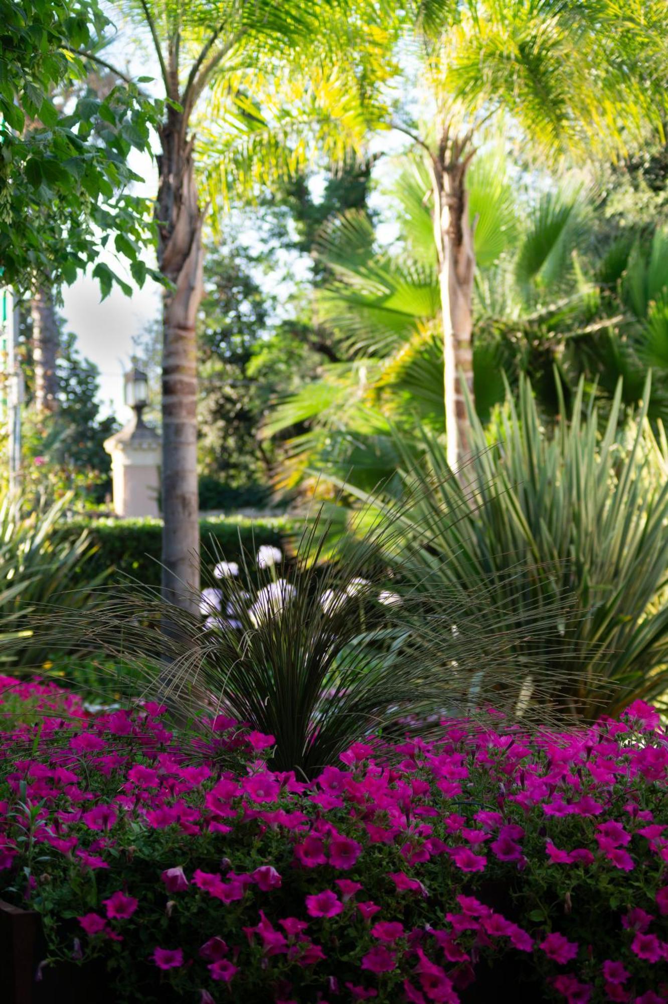 Park Hotel Giusy Lido di Camaiore Eksteriør bilde